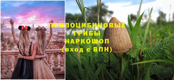 мдпв Навашино