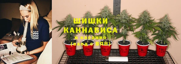 мдпв Навашино