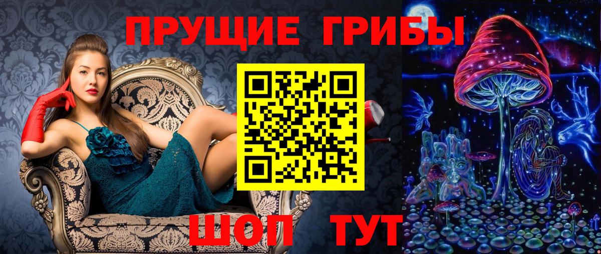 Псилоцибиновые грибы прущие грибы Кириши
