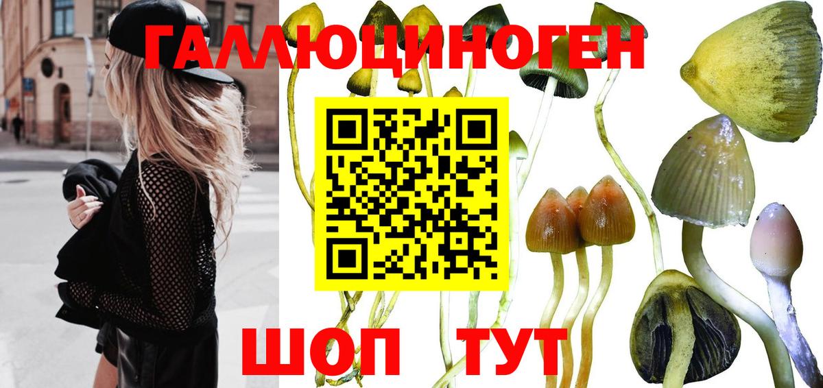 Кириши  Псилоцибиновые грибы MAGIC MUSHROOMS  Вход с VPN 